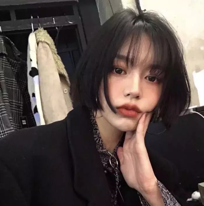 灰天鹅绒上的四只苍蝇